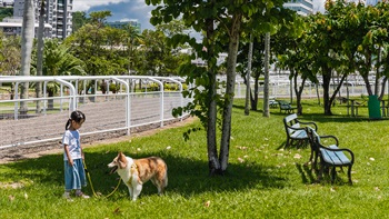 彭福公園亦是本港著名的寵物活動場地，備受寵物主人和愛護動物者歡迎。